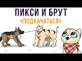 Пикси и Брут. Подкачаться) | Мемозг #451