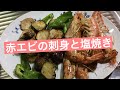 安くて美味しい！赤エビで刺身と塩焼き作ってみた