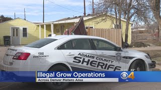 DEA Raids Multiple Homes In Denver Metro Area