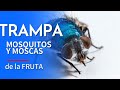 TRAMPA para mosquitos, mosquitas o moscas de cocina o fruta QUE FUNCIONA Cómo HACERLA