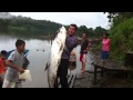 pesca .. el sabalo mas grande del mundo....  pez de rio mas grande del mundo Rio san Juan Nicaragua