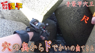 テトラの穴と言う穴を攻めた【穴王釣り】(129話目)
