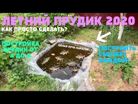 Видео: Как подготовить тропический пресноводный аквариум (с иллюстрациями)