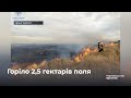 Горіло 2,5 гектарів поля: впродовж вихідних на Буковині трапилось 24 пожежі