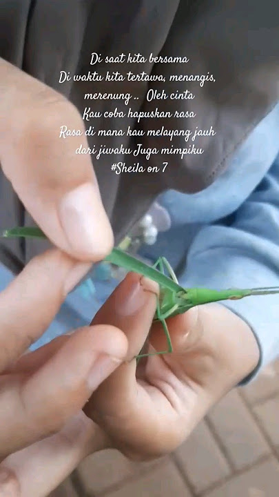 di saat kita bersama #storywa #kita #sheilaon7