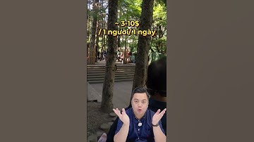 Đi tour còn mất tiền tip? #shorts #ducdidau #travel