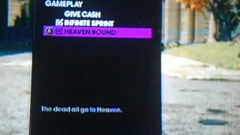 Saints row the third cheats