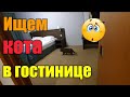 Веня не дает расслабиться🤦‍♀️//Программа первого дня//Холодный номер//Хмурая Москва