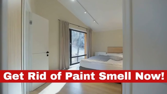 How to Get Rid of Oil-Based Paint Fumes - EnviroKlenz