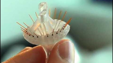 Chronic in vivo Recording Using a Microdrive Array: Drive Fabrication