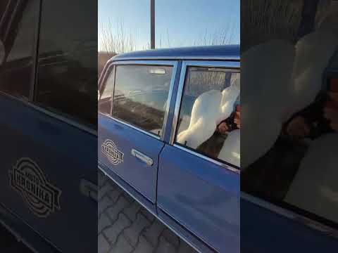 Bułgar - Fiat