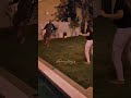مشكلني حبك راشد الماجد يعزف على اوتار قلبي راشد الماجد راشد الماجد 2024 استوريات مشكلني حبك راشد الماجد يعزف على اوتار قلبي راشد الماجد راشد الماجد 2024 استوريات