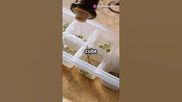 3 Life Hacks to Transform Your Daily Routine!