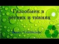 Газообмен в лёгких и тканях