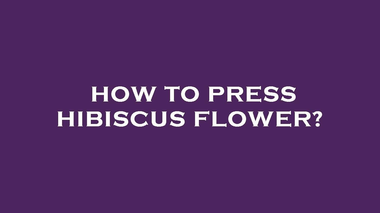 how-to-press-hibiscus-flower-youtube