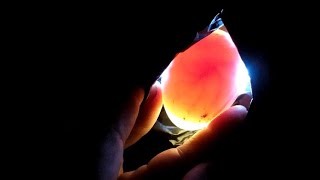 فحص بيض البط الراقد لمعرفة البيض المخصب على طريقة خالتى نوسة