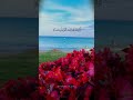 والذين يقولون ربنا هب لنا من أزواجنا وذرياتنا قرة أعين واجعلنا للمتقين إماما قران كريم دعاء 