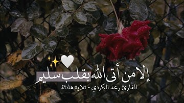 أجمل حالات واتس اب قرآن كريم بصوت جميل جدا❤️😍 Quran Status