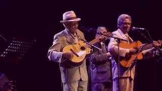 Vignette de la vidéo "Compay Segundo - Sabroso (Live Olympia París 1998)"