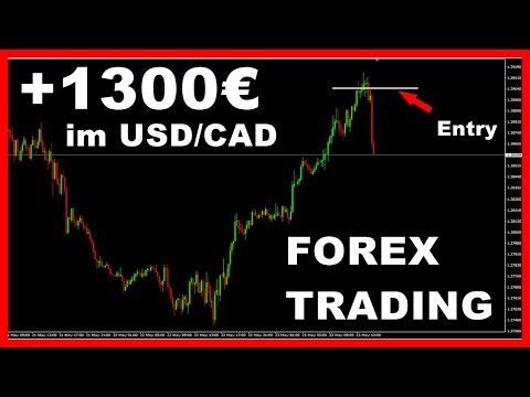 Forex fur ambitionierte anfanger rapidshare