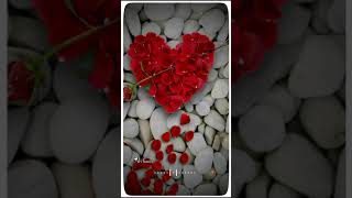 Love paththi sollenda anbunna athu Nee thanda kanneer Na / whatsapp status song full screen male ver