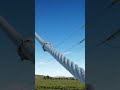 What is Sag in Transmission lines #electrical #transmissãoaovivo #viral #shorts #reach #education