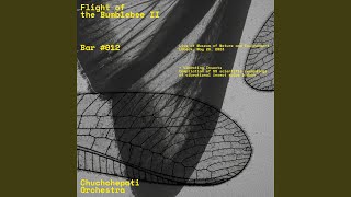 Unidentified signal 1, Bistra, Slovenia (Live)