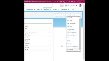How to determine why a user has access to a record in an org?