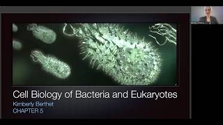 Micro Lecture Video Ch5