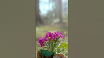 New Beginnings - LEC Spring 2023