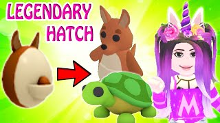 HOW TO ALWAYS HATCH A LEGENDARY PET IN ADOPT ME  Roblox Adopt Me Viral Hacks