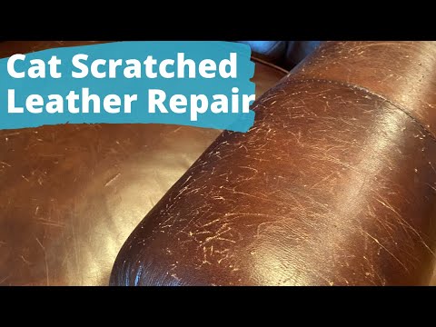 Cat Scratched Leather Repair Hometalk You - Cat Scratch Repair Faux Leather Cat Scratched Leather Repair Hometalk You - Cat Scratch Repair Faux Leather