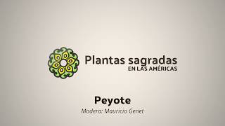 Politics and Conservation Around Peyote | Plantas Sagradas en las Américas