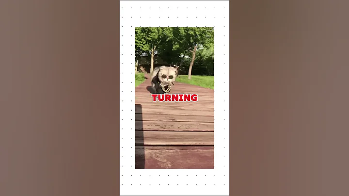 Finance Experts Don't Want You to Know About QUANTITATIVE Finance