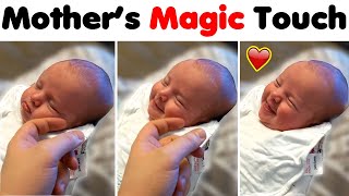 Cute Moments That Can Melt Your Heart ❤️️ Cute Moments That Can Melt Your Heart ❤️️