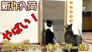 DIY 猫の爪とぎ 改良版！アイリスオーヤマの爪とぎ段ボールが使える木製ラック出来ました！ タカチャムが作りました