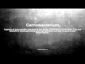 Medical vocabulary what does carnobacterium mean