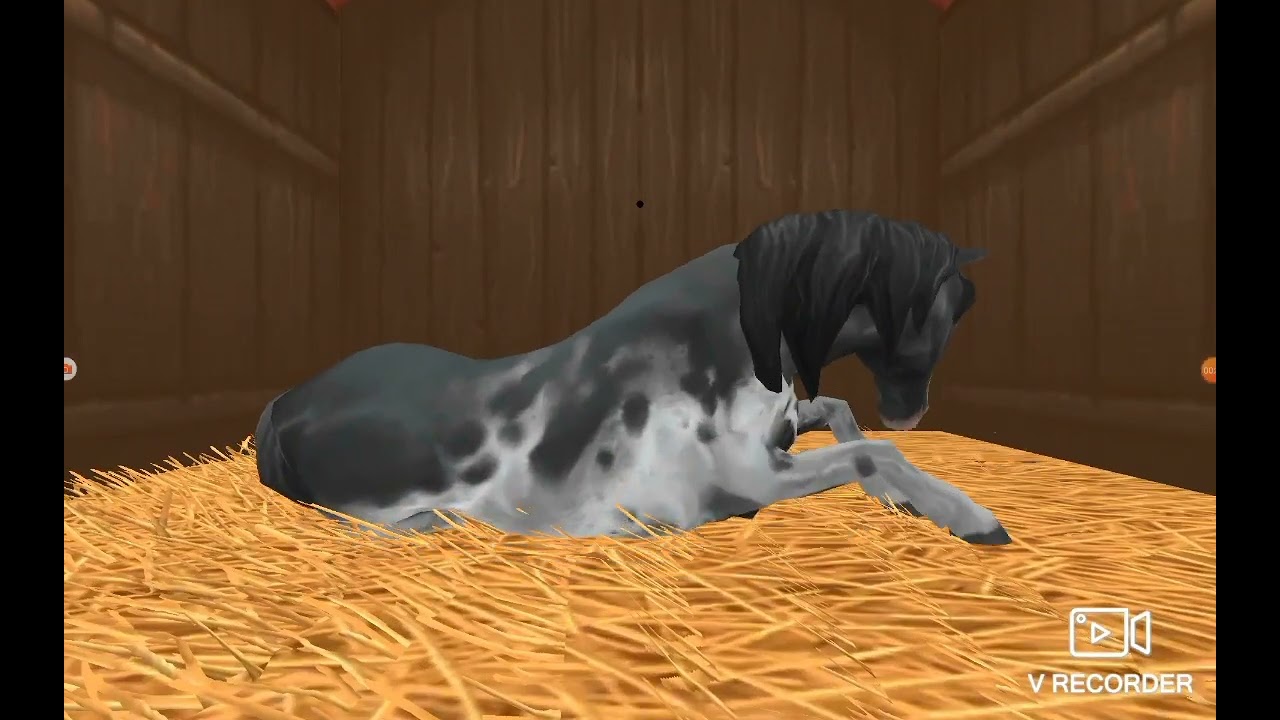 Horse Riding Tales \ achat d'un poulain🐎\