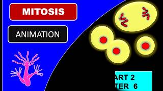 Biology Form 4 Chapter 6 (Animation) How Does Mitosis Occur?? ? ? ?