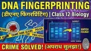 DNA Fingerprinting Class 12 Biology | Crime Case Example से समझें पूरा Process | NCERT  Explanation