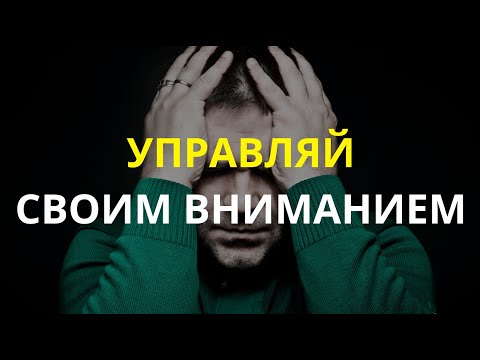 Видео: КАК НАУЧИТЬСЯ НЕ ОТВЛЕКАТЬСЯ? | 4 шага к концентрации и управлению своей жизнью