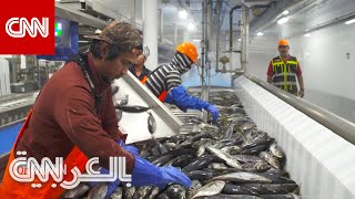 خطط سلطنة عُمان لغزو أسواق الأسماك العالمية بطريقة مستدامة