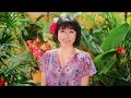 水森かおりちゃんと行く高遠ツアー♡