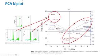 PCA Biplot: Analysis Showcase