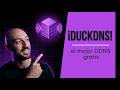 DuckDNS: el mejor DDNS gratis · 10