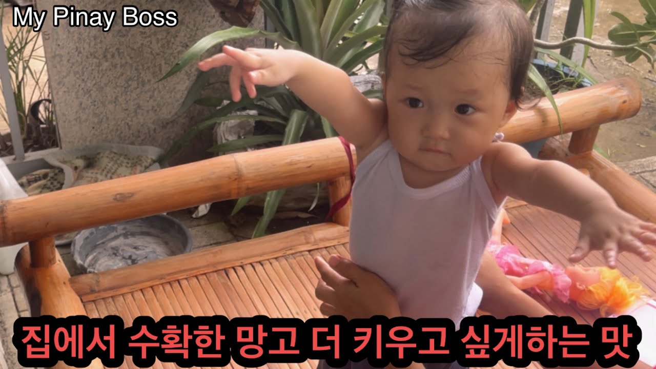 Манго с необычным вкусом