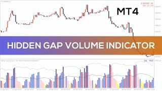 Hidden Gap Volume Indicator for MT4 - BEST REVIEW