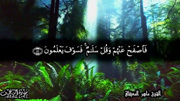 تلاوة هادئة لأواخر سورة الزخرف الآيات 85 89 - للشيخ ماهر المعيقلي