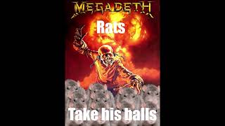 Rats, take his balls