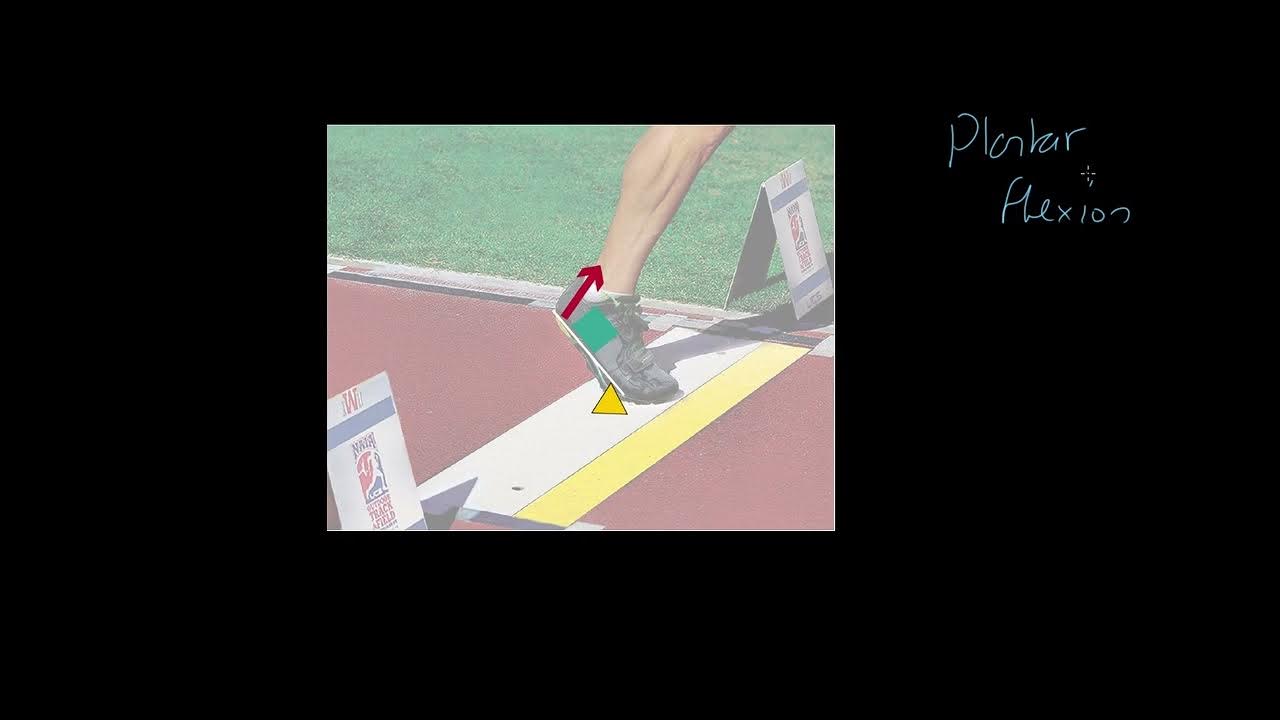 AQA GCSE PE Levers YouTube